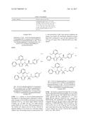 TRIAZOLE AGONISTS OF THE APJ RECEPTOR diagram and image