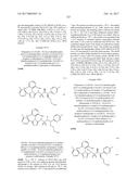 TRIAZOLE AGONISTS OF THE APJ RECEPTOR diagram and image