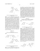 TRIAZOLE AGONISTS OF THE APJ RECEPTOR diagram and image