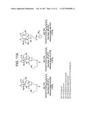 METHODS AND COMPOSITIONS FOR TREATING VIRAL OR VIRALLY-INDUCED CONDITIONS diagram and image