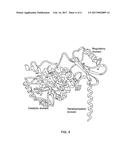 Use of Tetrahydrobiopterine Derivatives in the Treatment and Nutrition of     Patients With Amino Acid Metabolic Disorders diagram and image