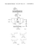 Prostaglandin Receptor EP2 Antagonists, Derivatives, Compositions, and     Uses Related Thereto diagram and image