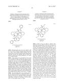 PENTAAZA MACROCYCLIC RING COMPLEXES POSSESSING ORAL BIOAVAILABILITY diagram and image