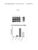 LPA RECEPTOR MODULATORS FOR BROWN FAT DIFFERENTIATION diagram and image