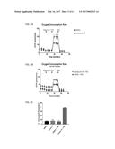 LPA RECEPTOR MODULATORS FOR BROWN FAT DIFFERENTIATION diagram and image