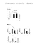 MUSCLE ATROPHY INHIBITOR CONTAINING QUERCETIN GLYCOSIDE diagram and image