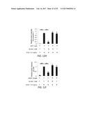 TREATING OCULAR NEOVASCULARIZATION diagram and image