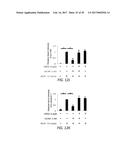 TREATING OCULAR NEOVASCULARIZATION diagram and image