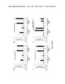 TREATING OCULAR NEOVASCULARIZATION diagram and image