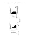 TREATING OCULAR NEOVASCULARIZATION diagram and image