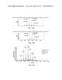 Hydroxypropyl Beta-Cyclodextrin Compositions and Methods diagram and image