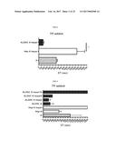 COMPOSITIONS AND METHODS FOR CELL TRANSPLANTATION diagram and image