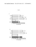 COMPOSITIONS AND METHODS FOR CELL TRANSPLANTATION diagram and image