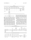 A PHARMACEUTICAL COMPOSITION COMPRISING A SUSPENSION OF TOTAL CELLS     OBTAINED FROM HAIR FOLLICLE AND PLASMA DERIVED GROWTH FACTORS FOR     PROMOTING HAIR FOLLICLE REGENERATION diagram and image