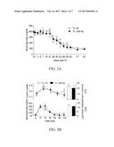 Pancreatic Islets of Transgenic LEA29Y Animals for Treating  Diabetes diagram and image