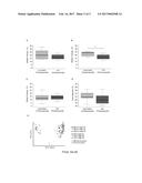 MODULATION OF FAT STORAGE IN A SUBJECT BY ALTERING POPULATION LEVELS OF     CHRISTENSENELLACEAE IN THE GI TRACT diagram and image