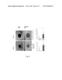 ISOFORM NELL-1 PEPTIDE diagram and image