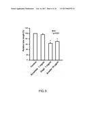 USE OF PEPTIDE FOR TREATING ANGIOGENESIS-RELATED DISEASES diagram and image