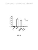 USE OF PEPTIDE FOR TREATING ANGIOGENESIS-RELATED DISEASES diagram and image