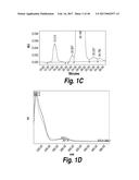 METHODS AND COMPOSITIONS FOR CNS DELIVERY OF HEPARAN N-SULFATASE diagram and image