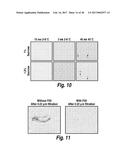 METHODS AND COMPOSITIONS FOR CNS DELIVERY OF HEPARAN N-SULFATASE diagram and image