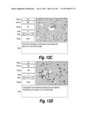 METHODS AND COMPOSITIONS FOR CNS DELIVERY OF HEPARAN N-SULFATASE diagram and image