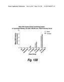 METHODS AND COMPOSITIONS FOR CNS DELIVERY OF HEPARAN N-SULFATASE diagram and image