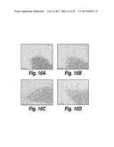 METHODS AND COMPOSITIONS FOR CNS DELIVERY OF HEPARAN N-SULFATASE diagram and image