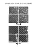 CNS DELIVERY OF THERAPEUTIC AGENTS diagram and image