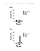 CNS DELIVERY OF THERAPEUTIC AGENTS diagram and image