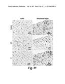 CNS DELIVERY OF THERAPEUTIC AGENTS diagram and image