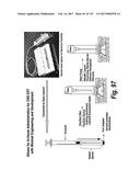 CNS DELIVERY OF THERAPEUTIC AGENTS diagram and image