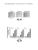 CNS DELIVERY OF THERAPEUTIC AGENTS diagram and image