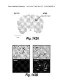 CNS DELIVERY OF THERAPEUTIC AGENTS diagram and image