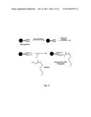 TARGETING OF GLYCOPROTEIN THERAPEUTICS diagram and image