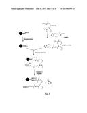 TARGETING OF GLYCOPROTEIN THERAPEUTICS diagram and image