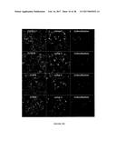 ANTIBODY-DRUG-CONJUGATE AND ITS USE FOR THE TREATMENT OF CANCER diagram and image