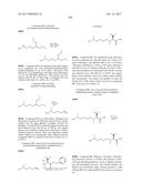 ANTIBODY-DRUG-CONJUGATE AND ITS USE FOR THE TREATMENT OF CANCER diagram and image