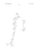 ANTIBODY-DRUG-CONJUGATE AND ITS USE FOR THE TREATMENT OF CANCER diagram and image