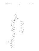 ANTIBODY-DRUG-CONJUGATE AND ITS USE FOR THE TREATMENT OF CANCER diagram and image