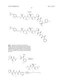 ANTIBODY-DRUG-CONJUGATE AND ITS USE FOR THE TREATMENT OF CANCER diagram and image