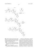 ANTIBODY-DRUG-CONJUGATE AND ITS USE FOR THE TREATMENT OF CANCER diagram and image