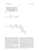 ANTIBODY-DRUG-CONJUGATE AND ITS USE FOR THE TREATMENT OF CANCER diagram and image