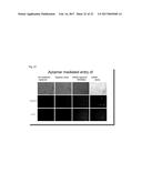 APTAMER-MRNA CONJUGATES FOR TARGETED PROTEIN OR PEPTIDE EXPRESSION AND     METHODS FOR THEIR USE diagram and image