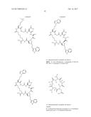 Integrin Antagonists diagram and image