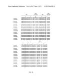 ENGINEERING OF IMMUNOGLOBULIN DOMAINS diagram and image