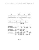 ENGINEERING OF IMMUNOGLOBULIN DOMAINS diagram and image