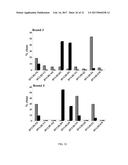 ENGINEERING OF IMMUNOGLOBULIN DOMAINS diagram and image