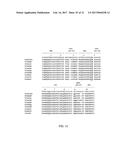 ENGINEERING OF IMMUNOGLOBULIN DOMAINS diagram and image