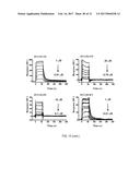 ENGINEERING OF IMMUNOGLOBULIN DOMAINS diagram and image